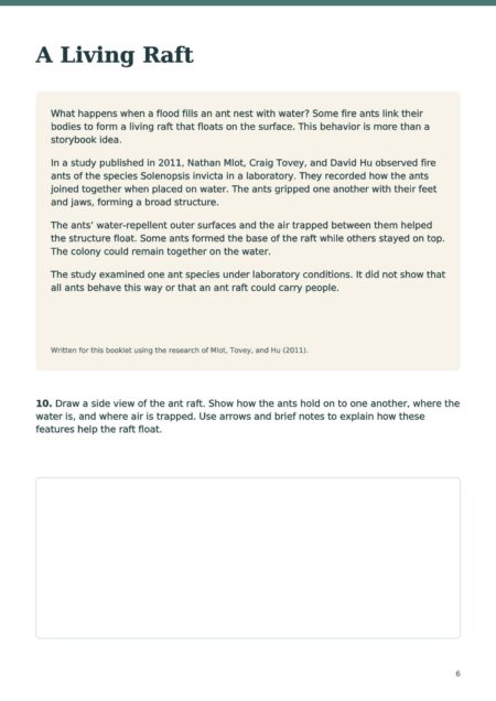 Activity preview 3